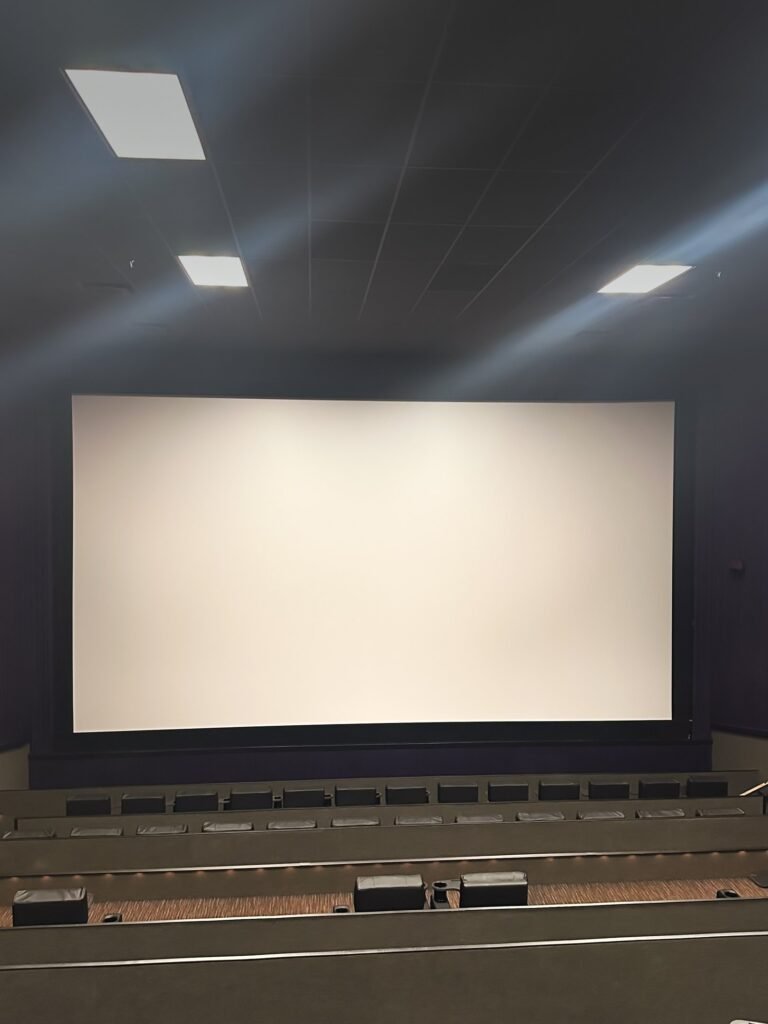 Rapid Cinema Renovations installation work